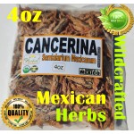 Cancerina, raiz de Cancerina : cancerina bark